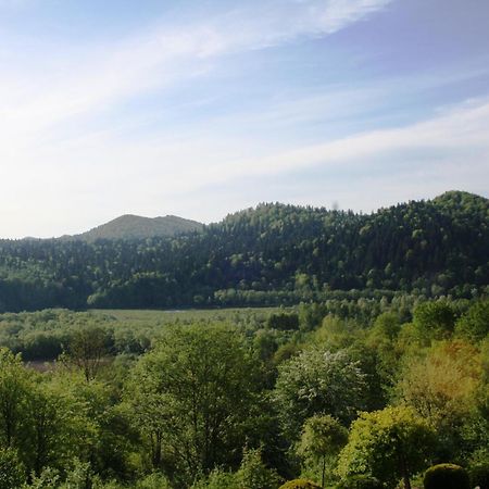Lesny Dworek 1 Wolkowyja Esterno foto