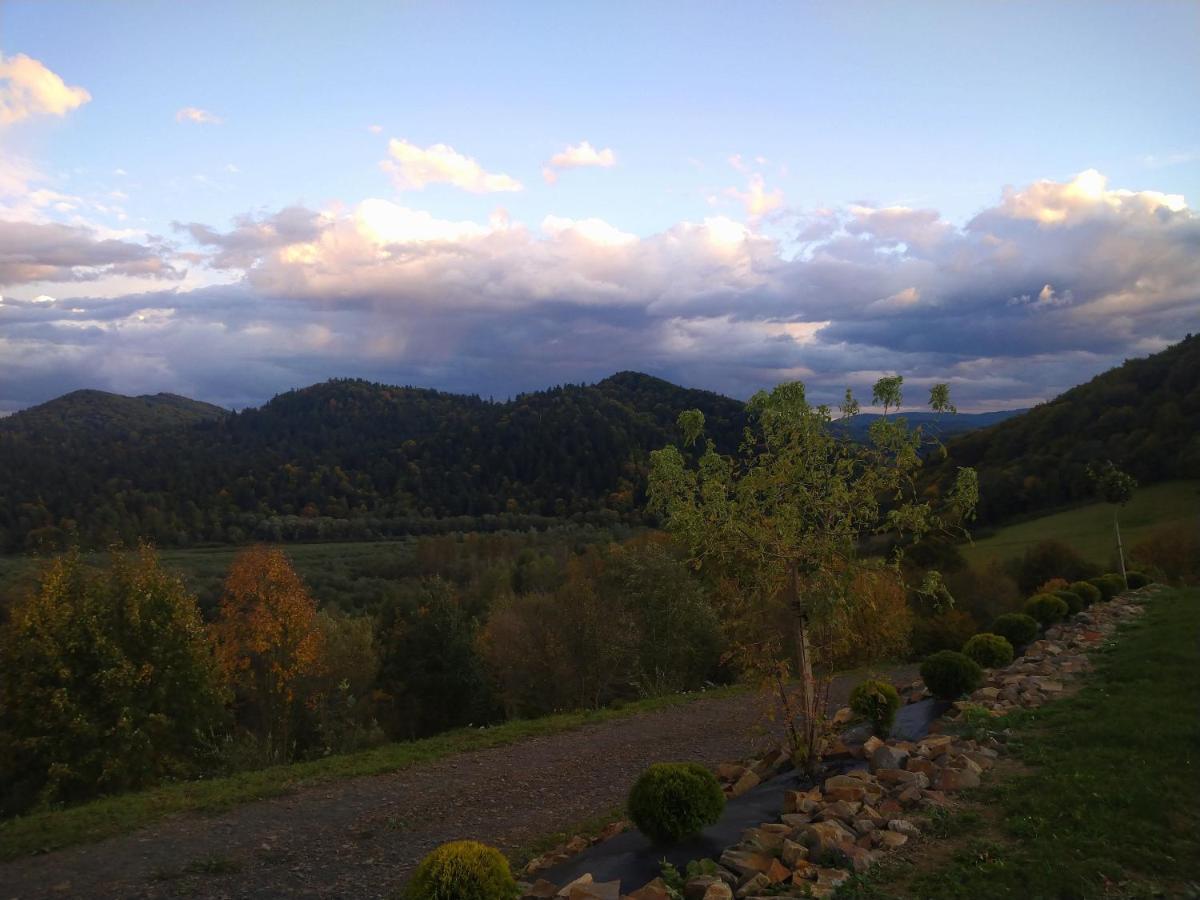 Lesny Dworek 1 Wolkowyja Esterno foto