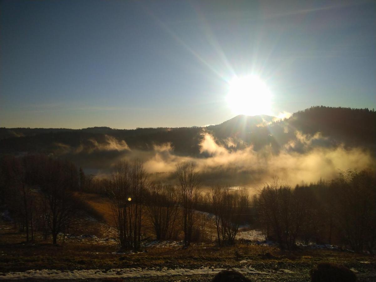 Lesny Dworek 1 Wolkowyja Esterno foto