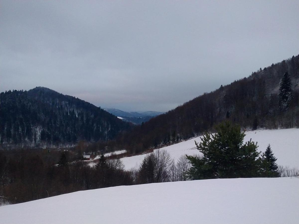 Lesny Dworek 1 Wolkowyja Esterno foto
