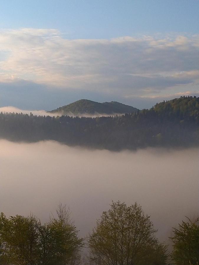 Lesny Dworek 1 Wolkowyja Esterno foto