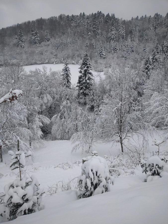 Lesny Dworek 1 Wolkowyja Esterno foto