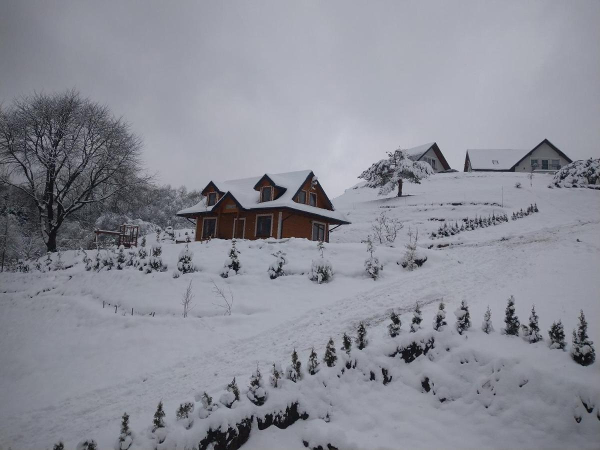 Lesny Dworek 1 Wolkowyja Esterno foto