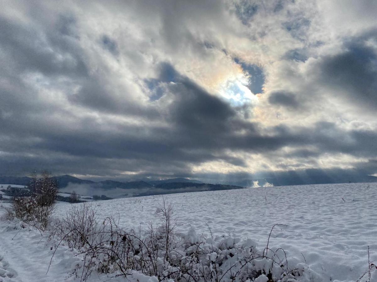 Lesny Dworek 1 Wolkowyja Esterno foto