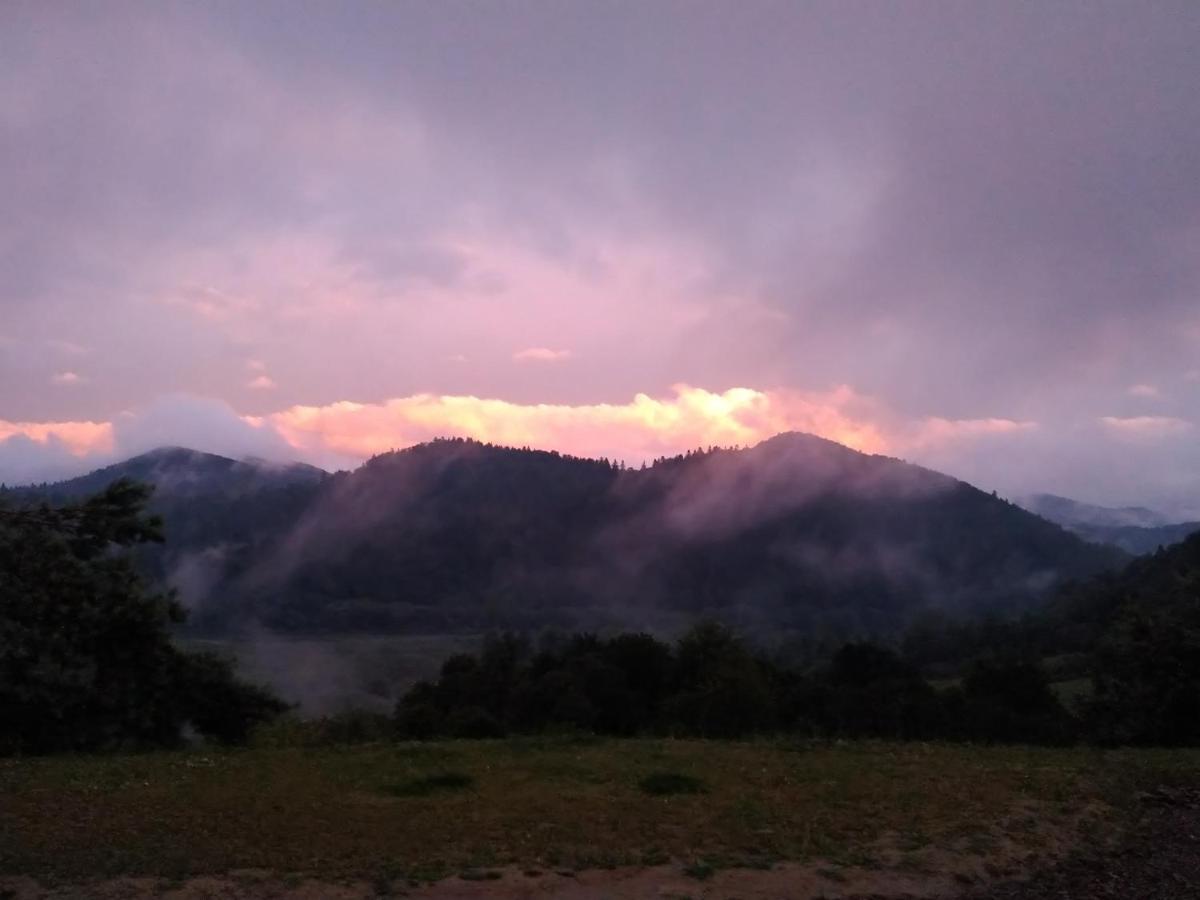 Lesny Dworek 1 Wolkowyja Esterno foto