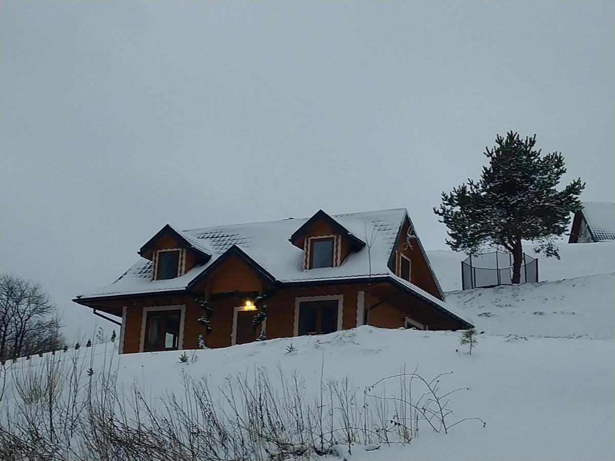 Lesny Dworek 1 Wolkowyja Esterno foto