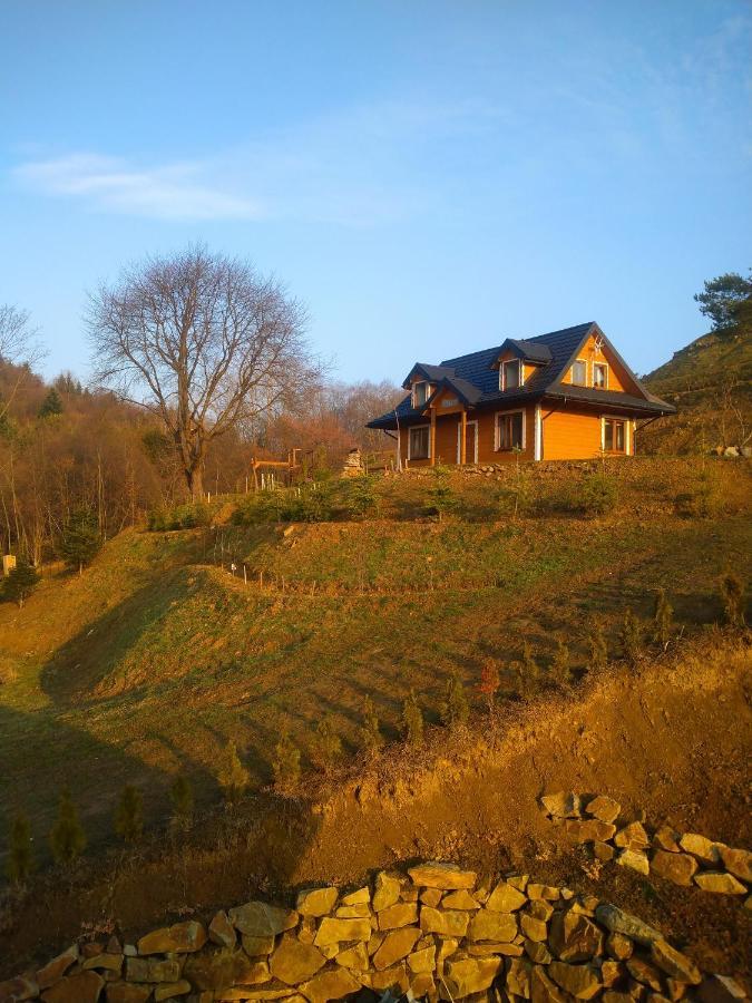 Lesny Dworek 1 Wolkowyja Esterno foto
