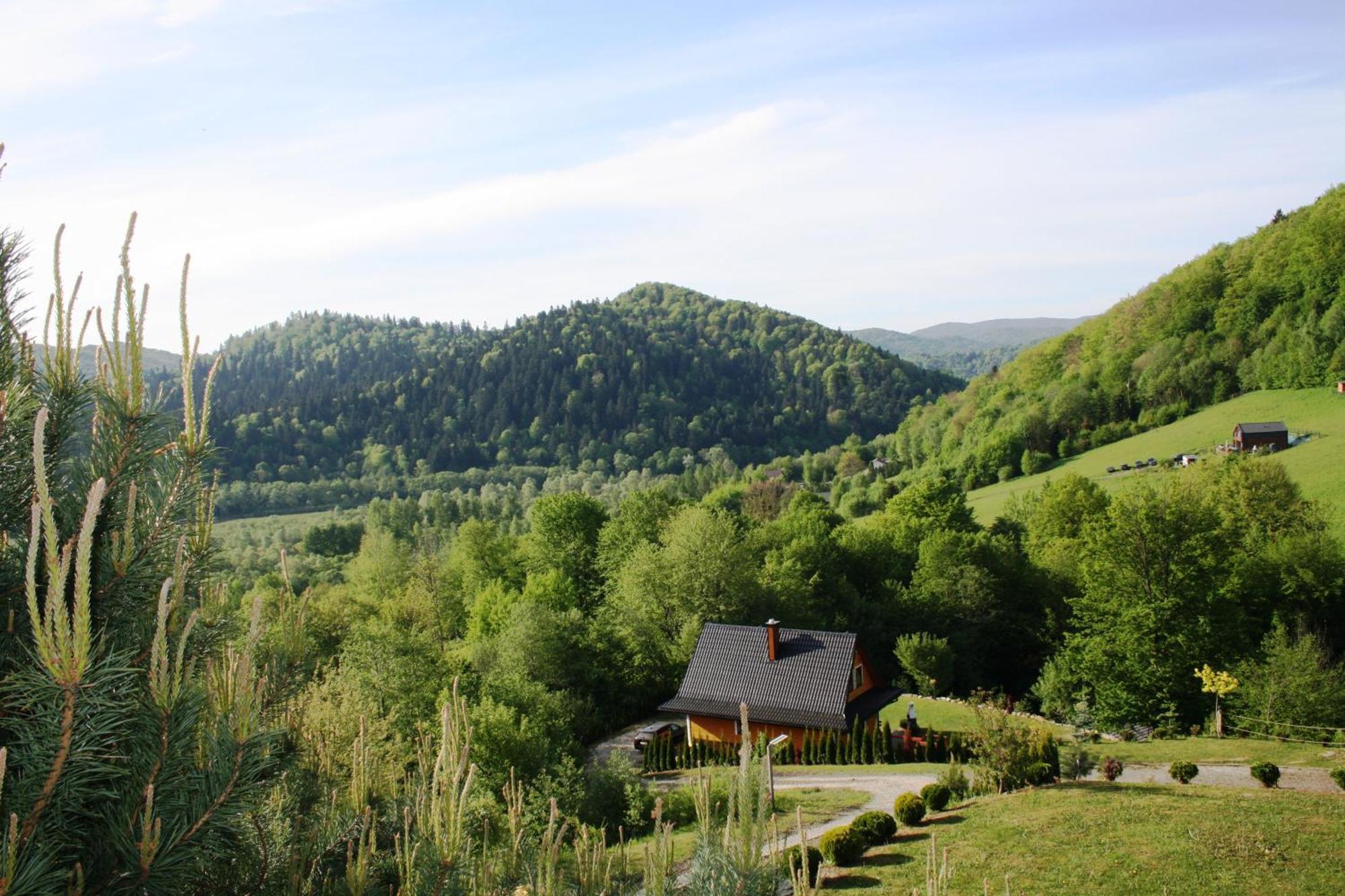Lesny Dworek 1 Wolkowyja Esterno foto