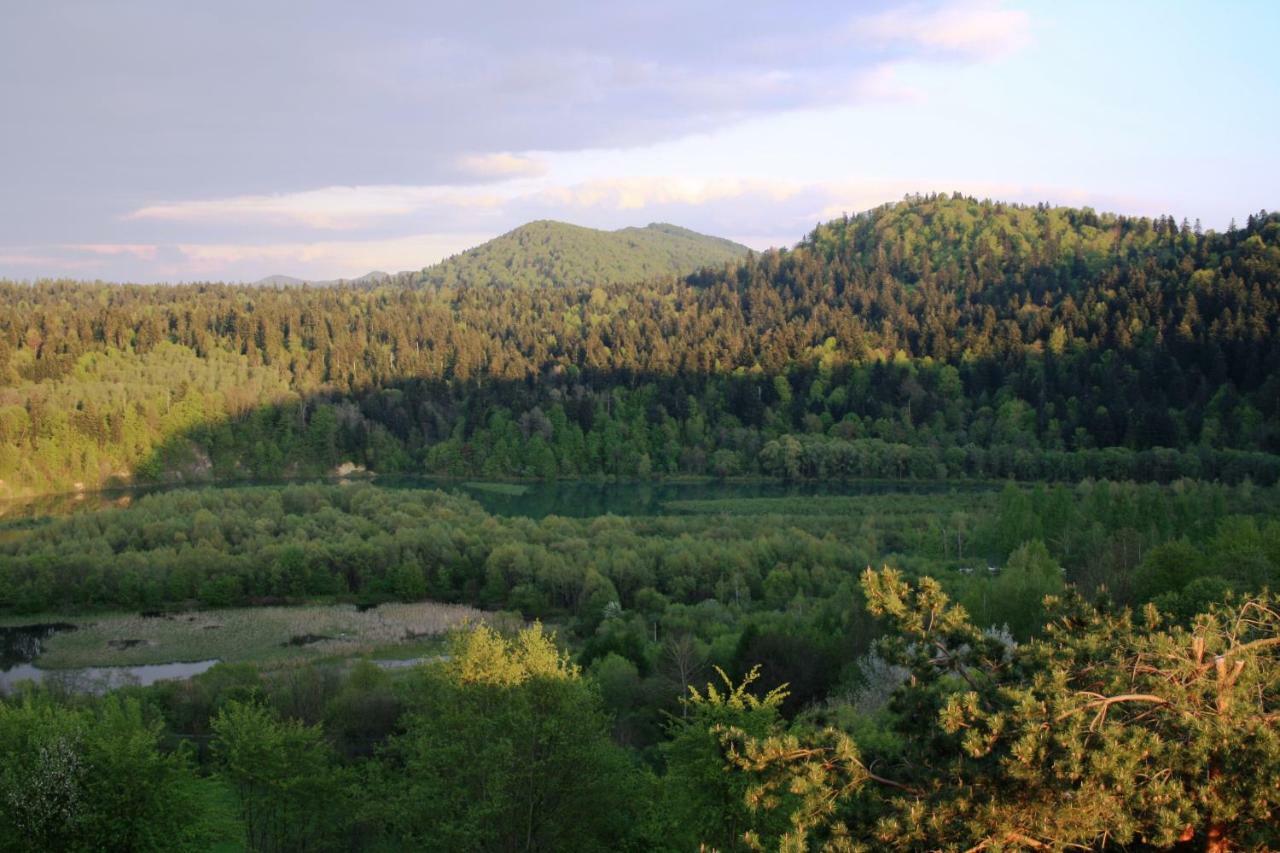 Lesny Dworek 1 Wolkowyja Esterno foto